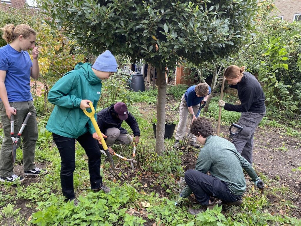 A group of students gardening