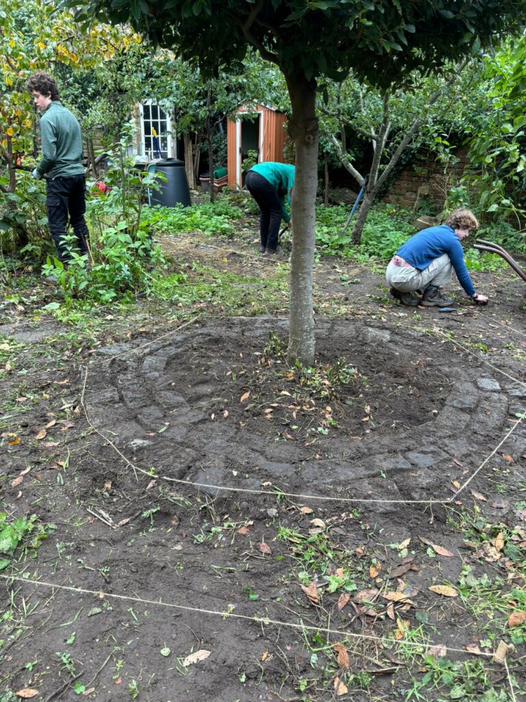 Cleared soil