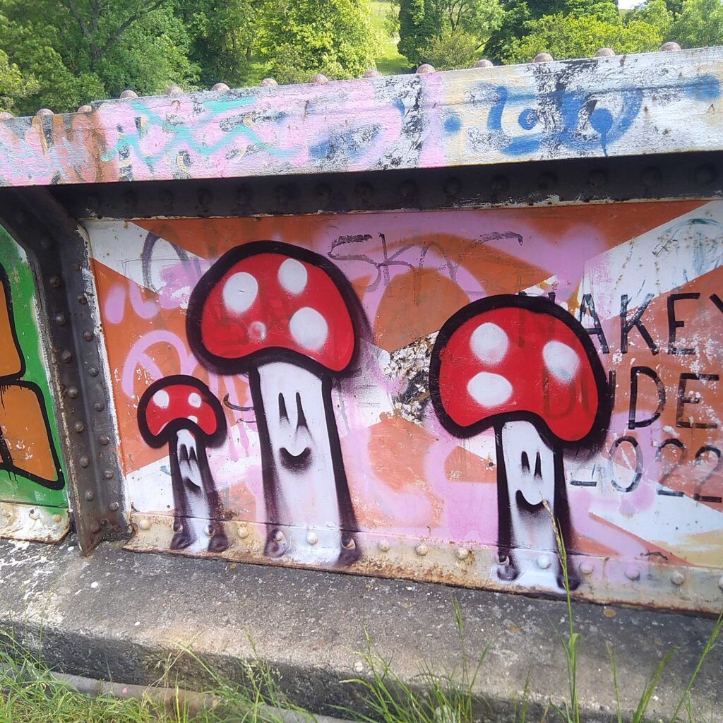 Graffiti on a wall showing mushrooms and tags.