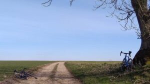 A path leading into a field with a bicycle propped against a tree.