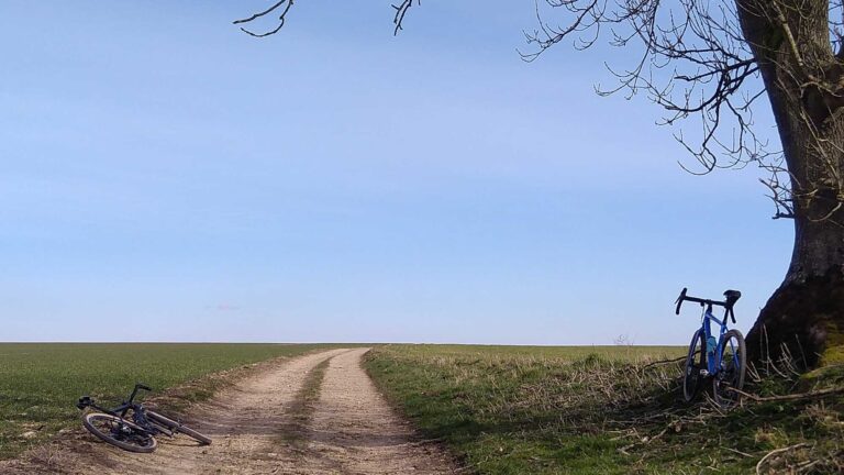 A path leading into a field with a bicycle propped against a tree.