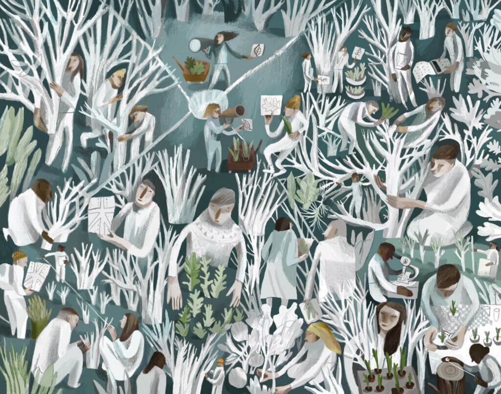 Treescapes illustration