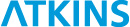 Atkins Job 2013