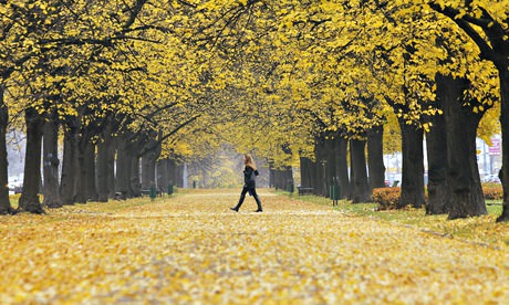 Autumn in Moscow