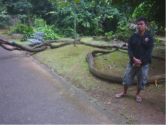 Bogor3