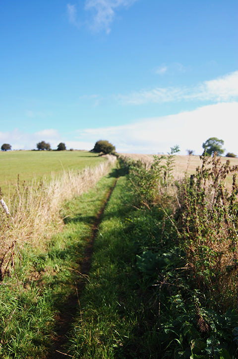 DSC_6191