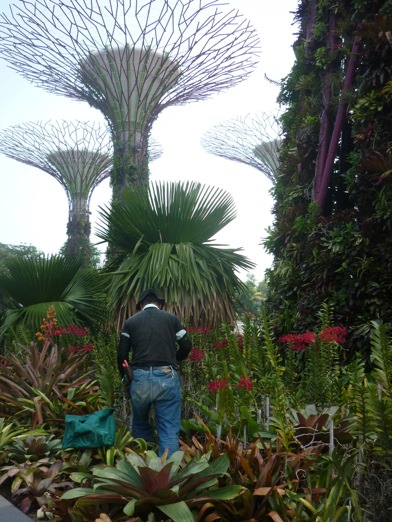 Gardens2