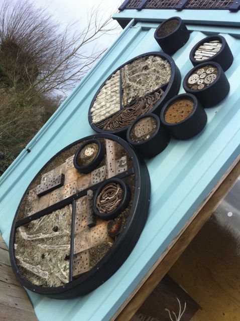 innovation slimbridge 5