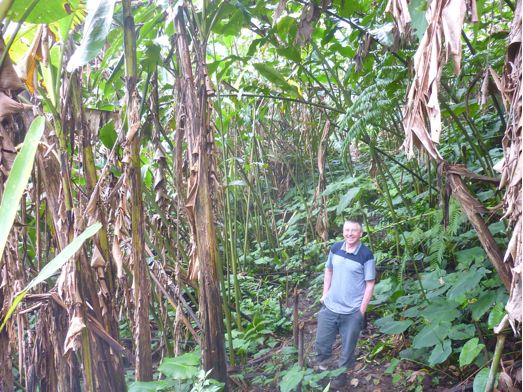 JungleBob