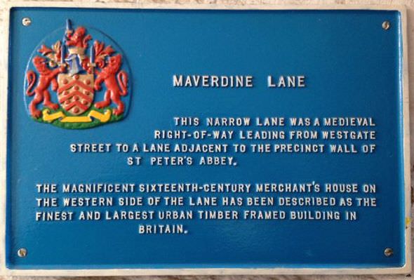 Maverdine1