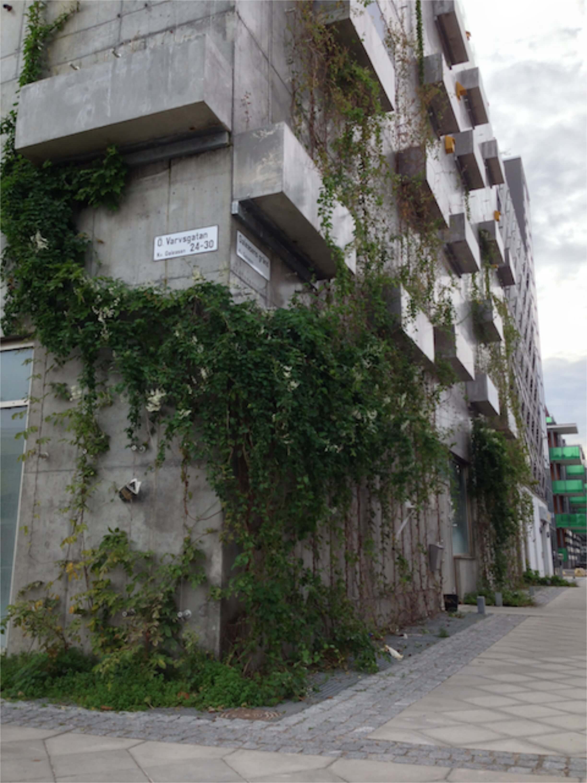 nestboxgreenwall