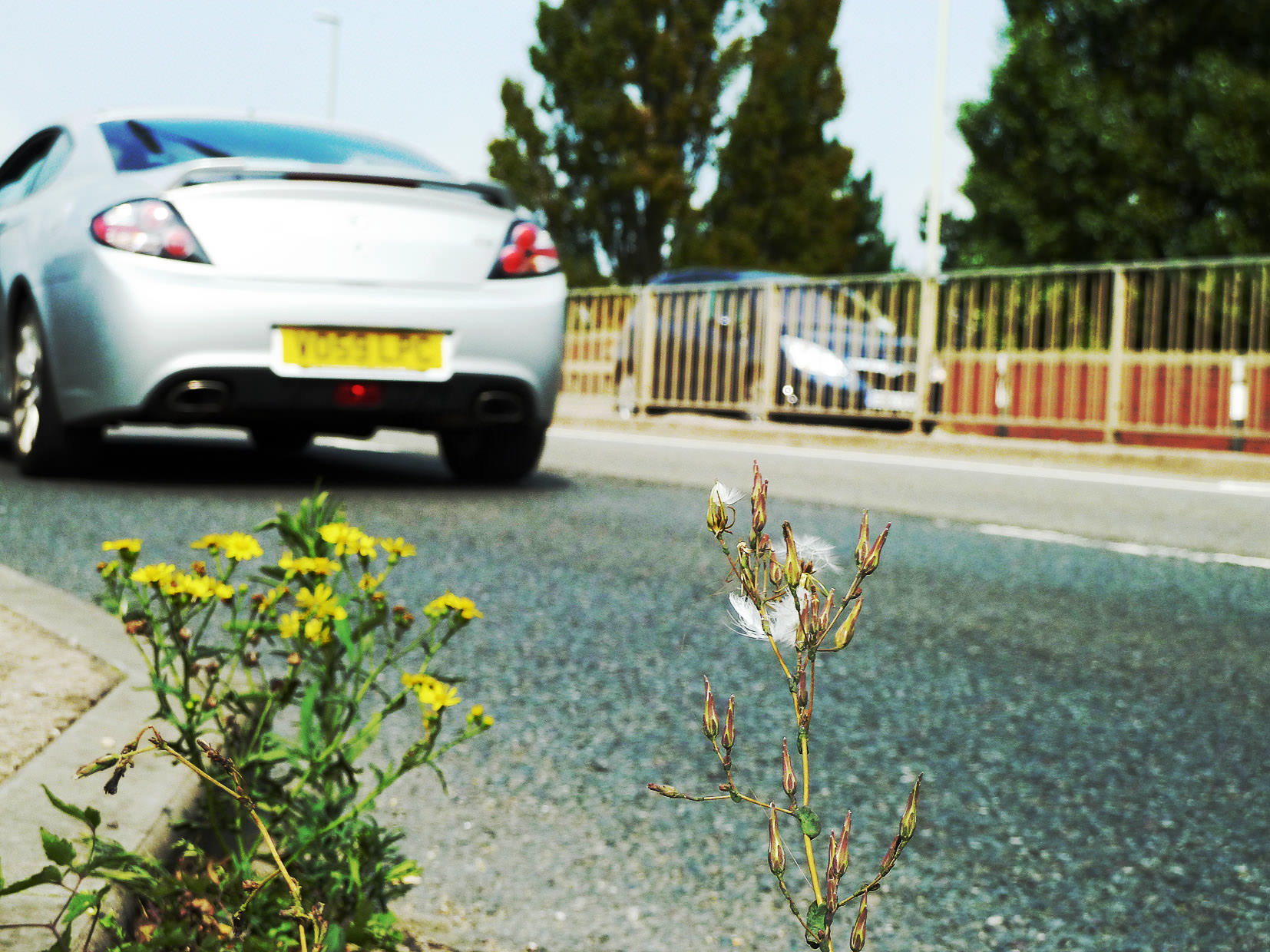 roadsidetenacity