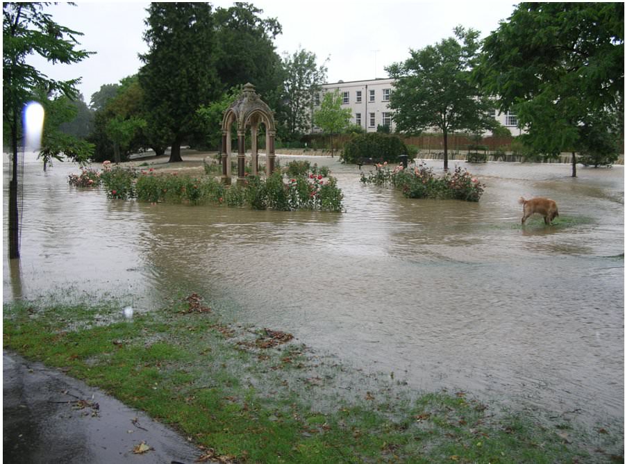 sandford2007