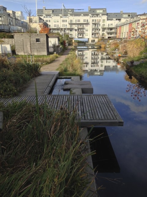 westernharbour6