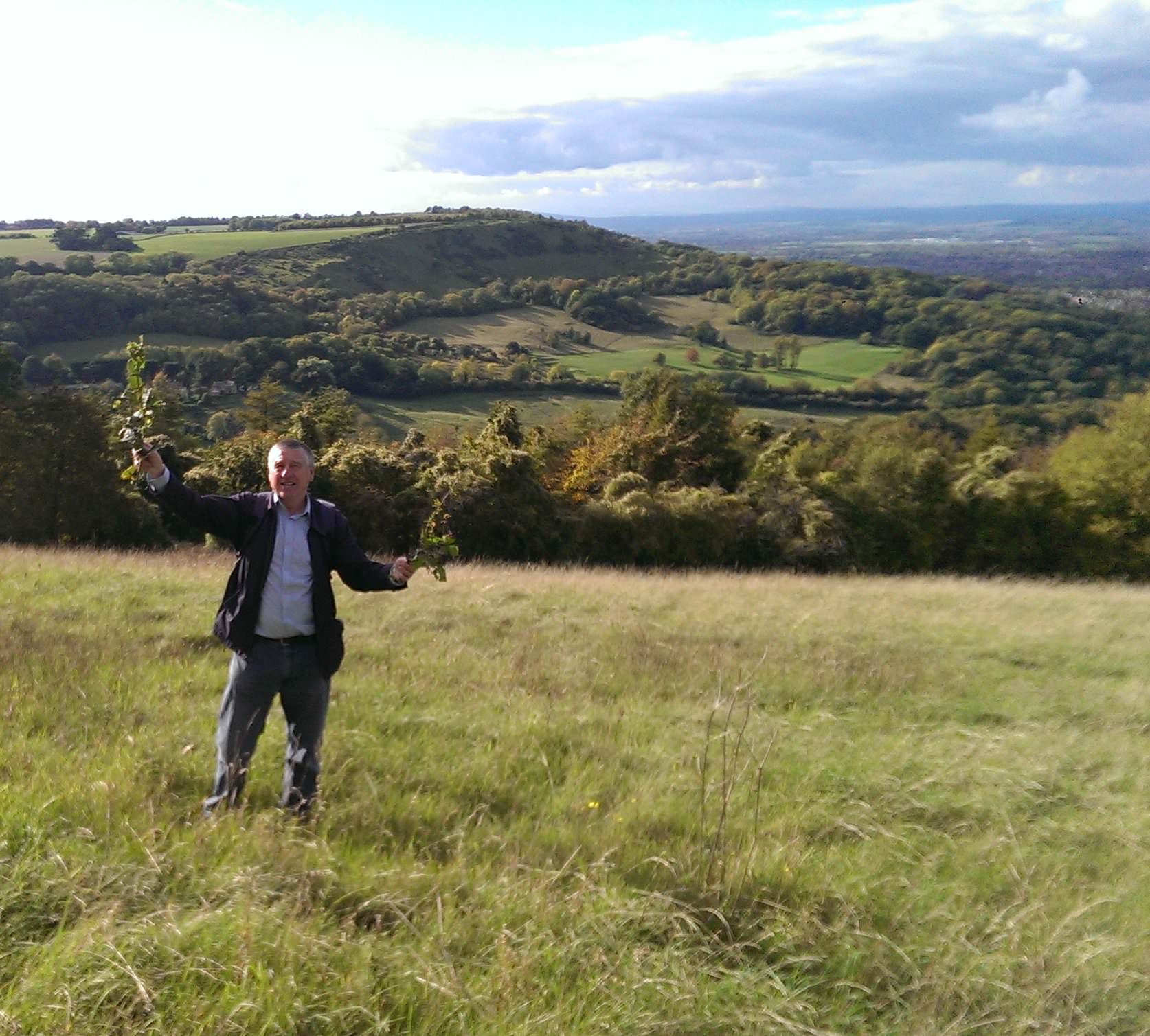 wistley4