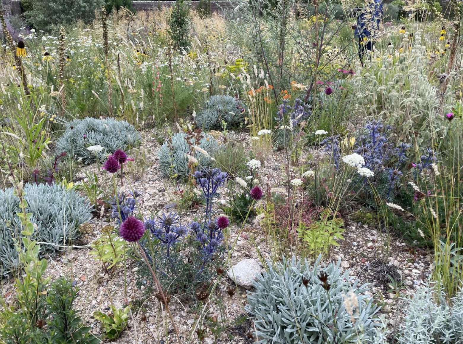 Prof HITCHMOUGH’S INSPIRING TALK